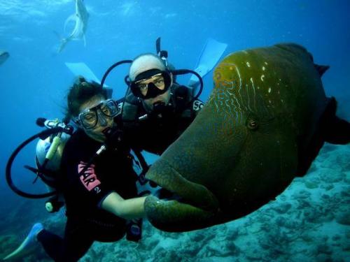 Молодіжний & активний